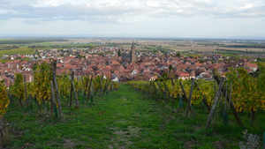 Couvreur urgence Lingolsheim